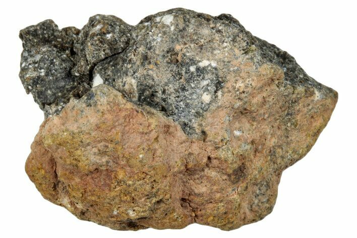 Howardite Meteorite ( g) - Bechar #287012